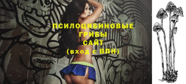 ГАЛЛЮЦИНОГЕННЫЕ ГРИБЫ Алексин