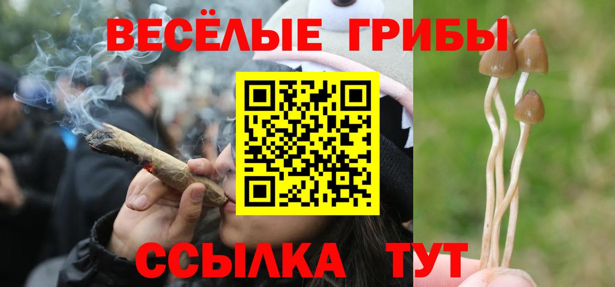 Псилоцибиновые грибы Magic Shrooms  Псилоцибиновые грибы мицелий  Вход с VPN  Осинники 