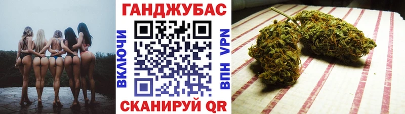 закладка  Осинники  Каннабис тримм 