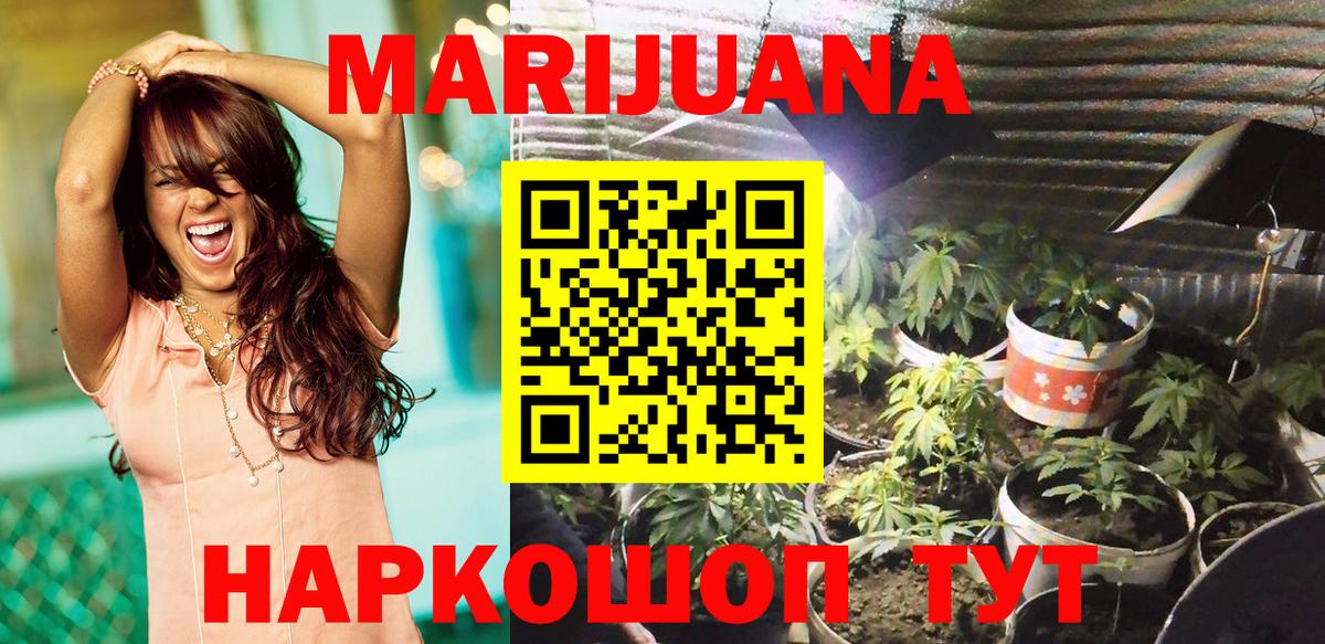 Конопля семена  Бошки марихуана планчик  Осинники  Конопля THC 21%  Вход с VPN  Конопля Ganja 